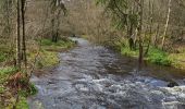 Tocht Stappen Vielsalm - Bihain 191123 - Photo 17