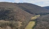 Tocht Stappen Lissac-sur-Couze - tour de la vallée du sorpt - Photo 4