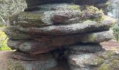 Percorso  Barr - Barr grotte du druide mont St Odile  - Photo 3