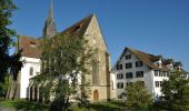 Randonnée A pied Kappel am Albis - Chlostermatt - Ober Rifferswil - Photo 3