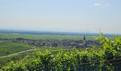 Tocht Stappen Kaysersberg-Vignoble - Du ⛺️ aux 4 villages - Photo 6