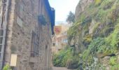 Randonnée Marche Mazamet - Passerelle de Mazamet et village médiéval d'Hautpoul - Photo 9