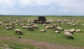 Tocht Stappen Saint-Valery-sur-Somme - saint valery - Photo 2