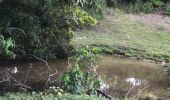Trail Walking Sainte-Anne - Belle mare  - Photo 4