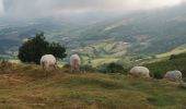 Trail Walking Ainhoa - Boucle  Gr10 - Photo 2