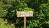 Trail Walking Calenzana - Bonifatu Tureli - Photo 13