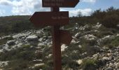 Trail Walking Vence - Plan de noves Baou noir - Photo 9