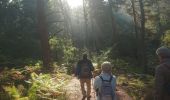 Trail Walking Fontainebleau - carrefour de l'epine 6 octobre 2023  - Photo 6