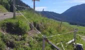 Tocht Stappen Fillière - ronceveau au col du freu 24 juin 19 - Photo 4