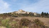 Tour Wandern Castellet-en-Luberon - St Martin de Castillon - Caseneuve - Photo 5