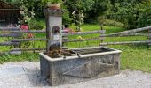 Tour Zu Fuß Saint-Martin-de-Clelles - Chemin du Goutaroux - Photo 4