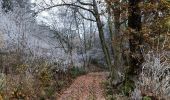 Trail Walking Lierneux - Promenade de Trou de Bra   - Photo 8