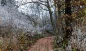 Trail Walking Lierneux - Promenade de Trou de Bra   - Photo 8