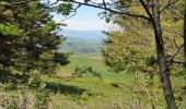 Excursión Senderismo Les Estables - Rocher Tourte - Photo 7