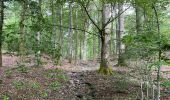Trail Walking Chiny - Chiny le long de la Semois - Photo 16