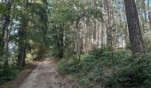 Tour Wandern Weismes - robertville . barrage . nez de napoléon.  reinhardstein . barrage . pont . robertville - Photo 2