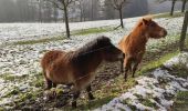 Tour Wandern Aubel - A travers les campagnes d'Aubel  - Photo 10