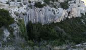 Percorso Marcia Roquevaire - le Garlaban par le grand vallon - Photo 18