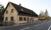 Tour Zu Fuß Bischbrunn - Schwarzer Fuchs, Rundwanderweg Weihersgrund am Sylvan - Photo 10