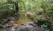 Tour Wandern Cros - Le pont du diable, en p1rtant du gîte aux milles fleurs - Photo 18