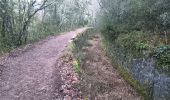 Trail Walking Quinson - verdon basse gorge via ravin ste marguerite et chapelle ste marguerite  - Photo 6