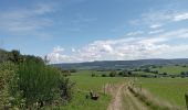 Tour Wandern Rendeux - Hodister mini boucle - Photo 1