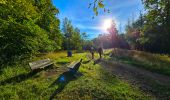 Trail Walking Philippeville - Balade de Roly à Villers-en-Fagne - Photo 6