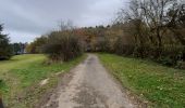 Tocht Stappen Ferrières - sapin de Noël - Photo 1