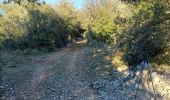 Trail Walking Laroque - laroque, plateau de thaurac - Photo 8