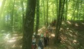 Trail Walking Renauvoid - marche - Photo 8