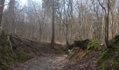 Tour Zu Fuß Bad Bibra - Bibertalweg - Photo 4