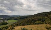 Tocht Stappen Chaudfontaine - bois les dames autour de chaudfontaine - Photo 7