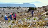 Randonnée Marche Marseille - Aiguille Guillemin - Mont Puget - Cap Gros -  Vallon Chalabran - Photo 18