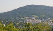 Tour Wandern Unknown - Baden Baden - rando des 