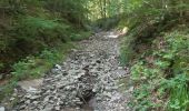 Randonnée Marche Theux - les digues . etang de chawion . devant staneux . les digues - Photo 9