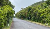 Tour Wandern Ribeira da Janela - Levada  - Photo 15