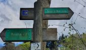 Tour Wandern Queyrières - Sous le Mounier - Photo 1