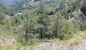 Tocht Stappen La Roche-des-Arnauds - Serigons - Rabou par petit Buëch  - Photo 4