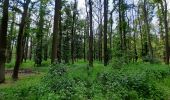 Tocht Te voet Kaiserpfalz - Roßleben-Arche-Nebra - Photo 8