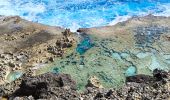 Randonnée Marche Anse-Bertrand - Guadeloupe - Porte d'Enfer à Pointe du Souffleur  - Photo 4