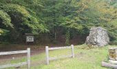 Randonnée Marche nordique Lauroux - Labeil Forêt de L'Escandorgue Roquet Escu - Photo 6