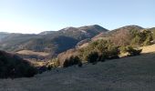 Trail Walking Châtillon-en-Diois - le sommet serre du beau puy - Photo 2