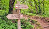 Tocht Stappen Trédrez-Locquémeau - Bretagne nord J7 / De Locquémeau à Lannion - Photo 5