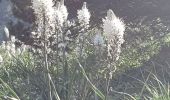 Tour Wandern Cauterets - Lac de Gaude - Photo 1
