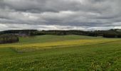 Tour Wandern Vielsalm - fraiture - plateau des tailles  - Photo 1