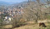 Excursión Senderismo Munster - Gunsbach & le sentier Schweitzer par Haslach - Photo 5