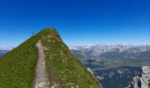 Trail Walking La Clusaz - ARAVIS: LES CONFINS - LAC DE TARDEVANT - POINTE DE TARDEVANT - Photo 8