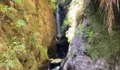 Excursión Senderismo São Roque do Faial - Le chaudron vert  - Photo 7