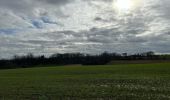 Tour Wandern Wavre - #240209 - Bierges, autour du Bois Wilmet** (version courte horlogique) - Photo 10