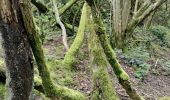 Randonnée Marche Jemeppe-sur-Sambre - menhir - Photo 2